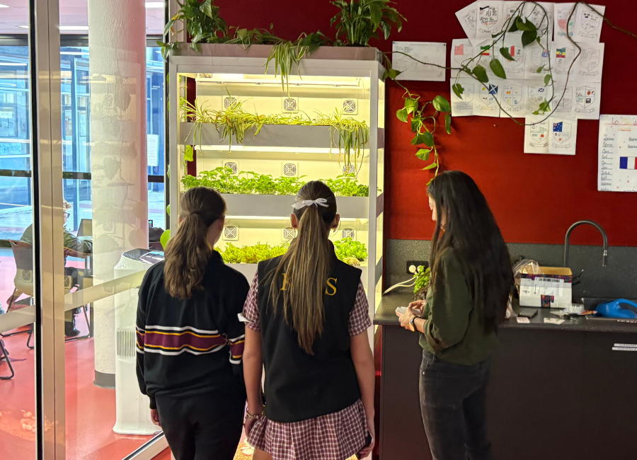 Farmwall in an education setting