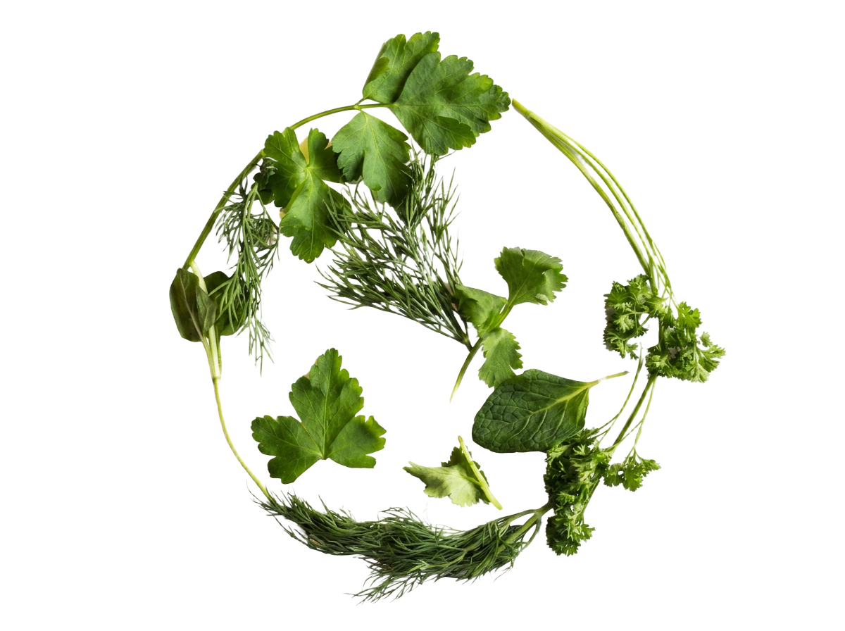 Wreath of fresh edible herbs