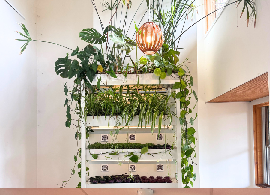 Farmwall planting detail