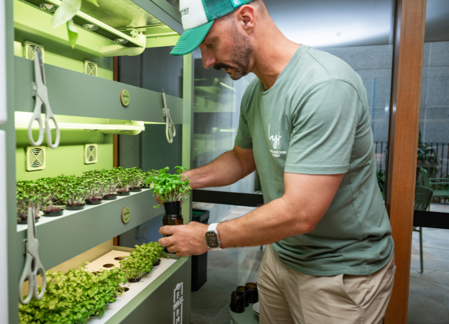 Farmwall in a hospitality space